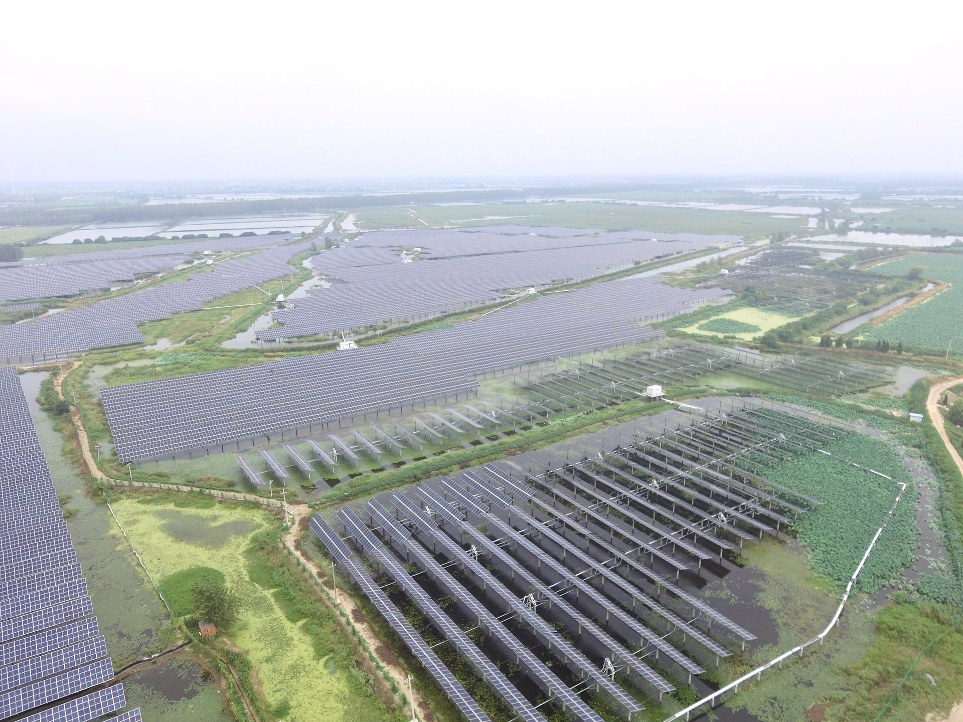 金年会jinnianhui科技江苏扬州宝应光伏发电应用领跑基地2号100兆瓦项目